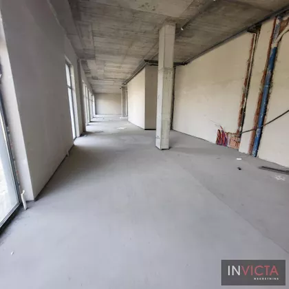 Salajka | 4zida.rs