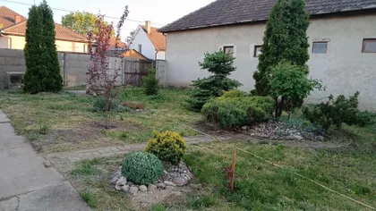 Šumadijska | 4zida.rs