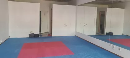 PALMIRA TOLJATIJA | 4zida.rs