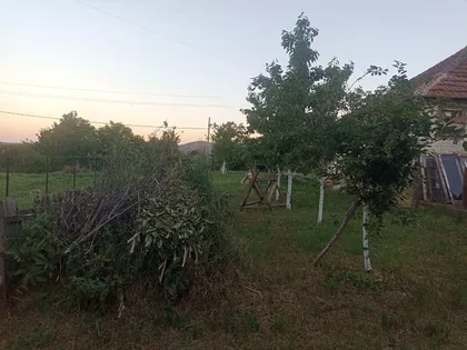 Ustanička | 4zida.rs