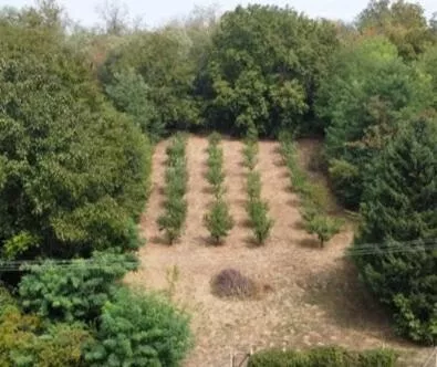 Fruškogorska | 4zida.rs