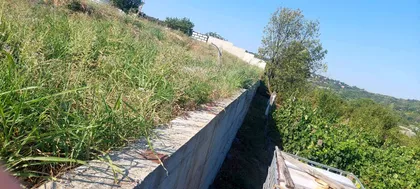 Savke Subotić | 4zida.rs