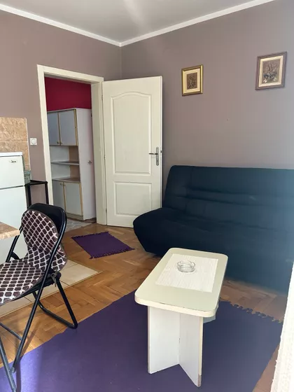 Dr Svetislava Kasapinovića | 4zida.rs