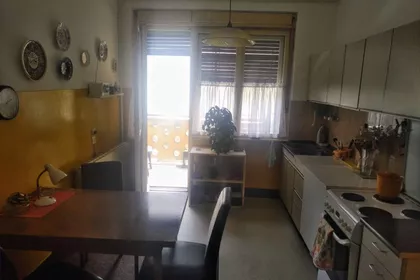 Cvijićeva | 4zida.rs