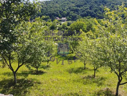 Paragovo | 4zida.rs