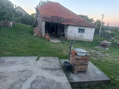 Ustanička | 4zida.rs