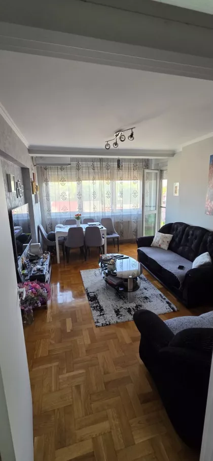 Salajka | 4zida.rs