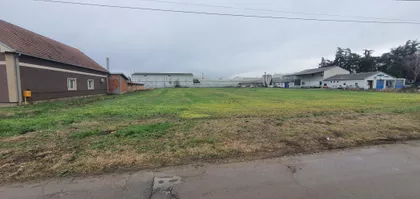 Mike Antića | 4zida.rs