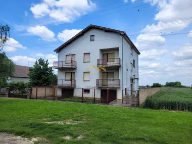 Čenej