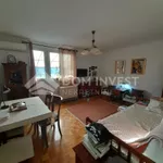 Beograd, Zemun opština, Zemun Polje | 4zida.rs | 4zida.rs