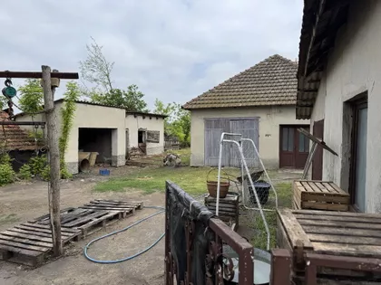 Bački Vinogradi | 4zida.rs