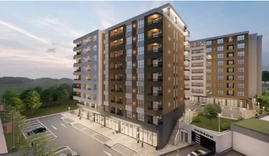 Majora Vladana Mikićevića