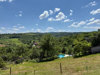 Sremska Kamenica | 4zida.rs