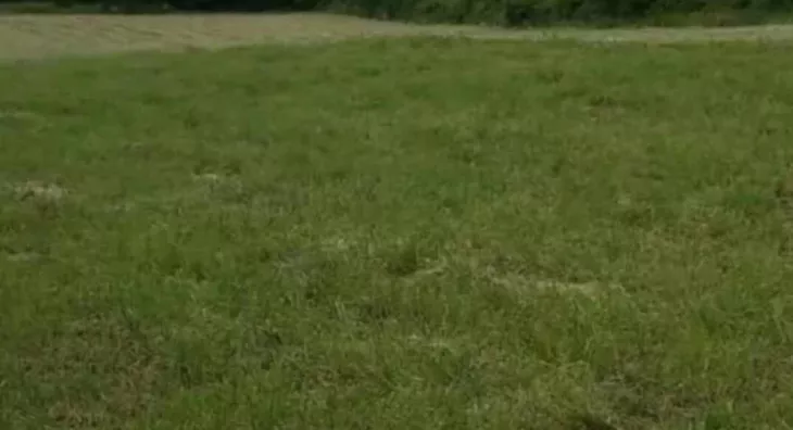 Poljoprivredno zemljište | 4zida