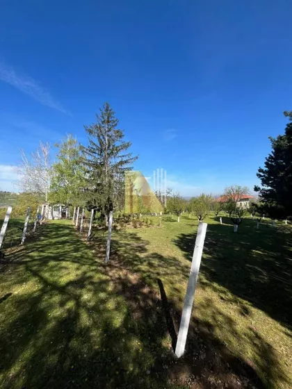 Fruška Gora | 4zida.rs