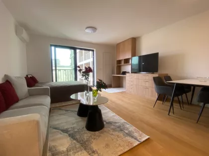 Milana Rakica | 4zida.rs