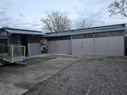 Svetozar Miletić | 4zida.rs