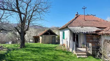Dobro Polje | 4zida.rs