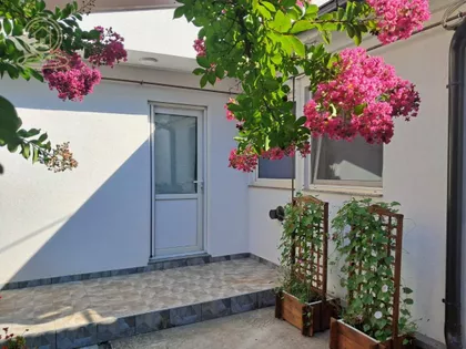 Petrovaradin | 4zida.rs