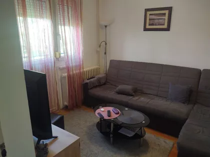 Stara Detelinara | 4zida.rs