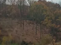 Grošnica, Okolne lokacije, Kragujevac | 4zida.rs