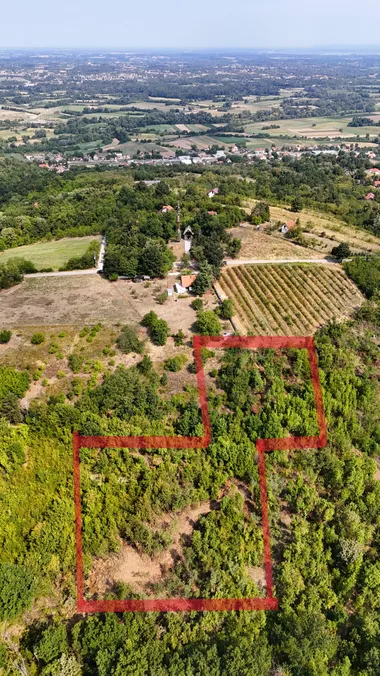 Ćelije