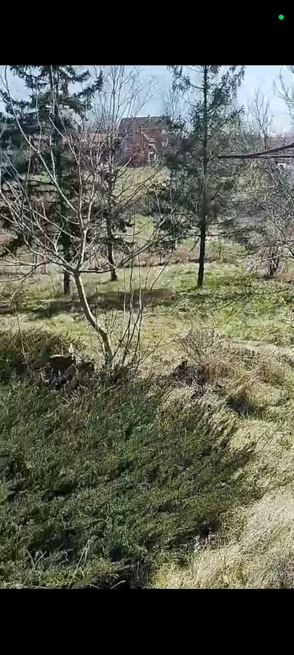 Stepanjska 4 | 4zida.rs