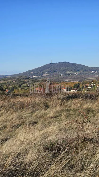 Potes Kolarica | 4zida.rs