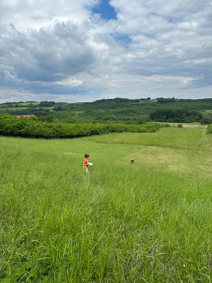 Dvadesetdevetog Novembra | 4zida.rs