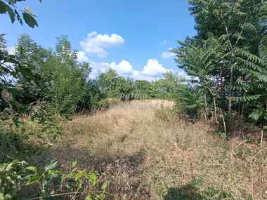 Beloševac