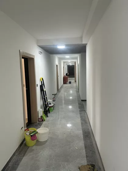 Miodraga Vlajića Šuke | 4zida.rs