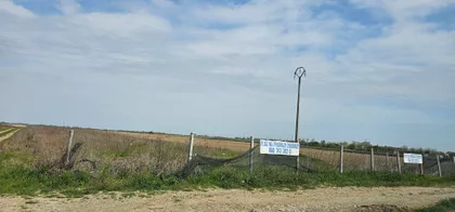 Carice Milice | 4zida.rs