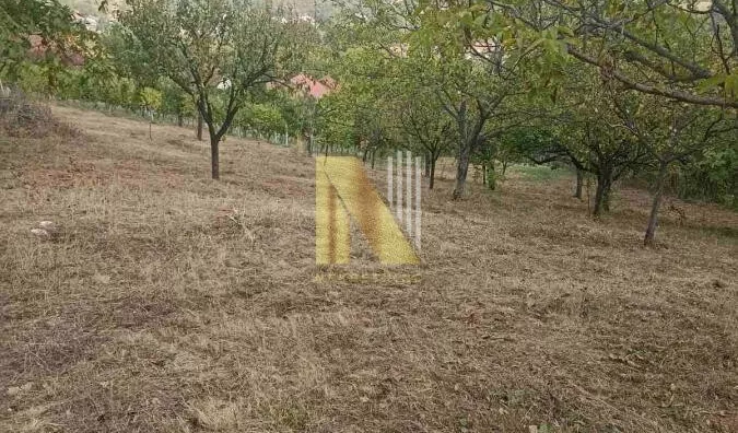 Poljoprivredno zemljište | 4zida