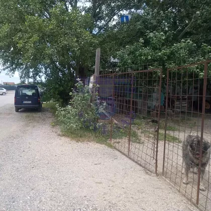 Avijatičarsko Naselje | 4zida.rs