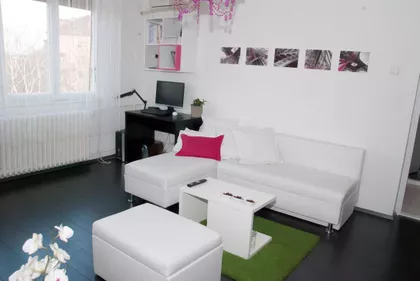 Detelinara | 4zida.rs