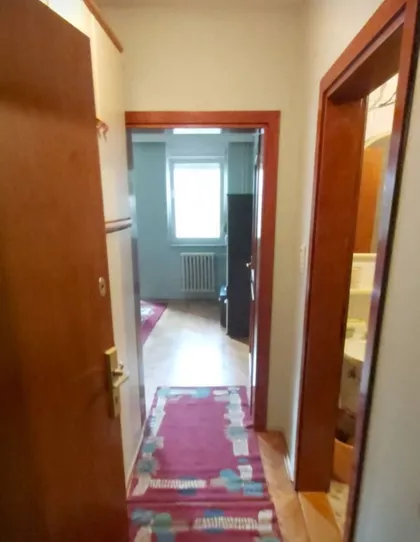 Nova Detelinara | 4zida.rs