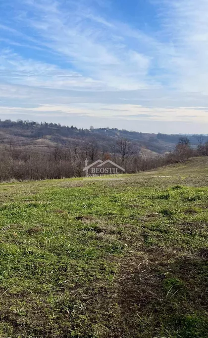 Maršala Tita | 4zida.rs