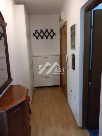 Miše Dimitrijevića | 4zida.rs