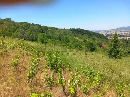 Miladina Popovića | 4zida.rs