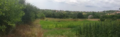 Mala Moštanica | 4zida.rs