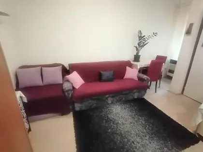 Salajka | 4zida.rs