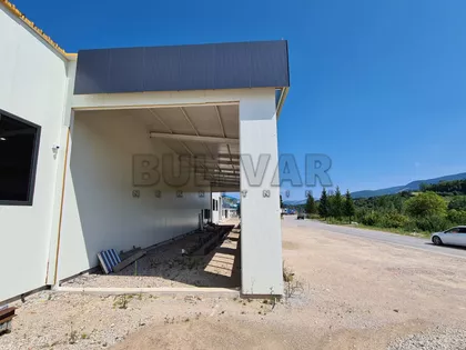 Dušana Trifunca | 4zida.rs
