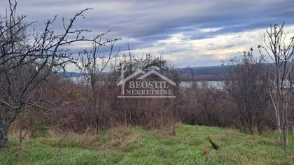 29. novembra | 4zida.rs