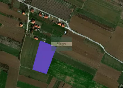 Vinorača | 4zida.rs