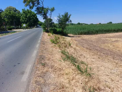Belegiš | 4zida.rs