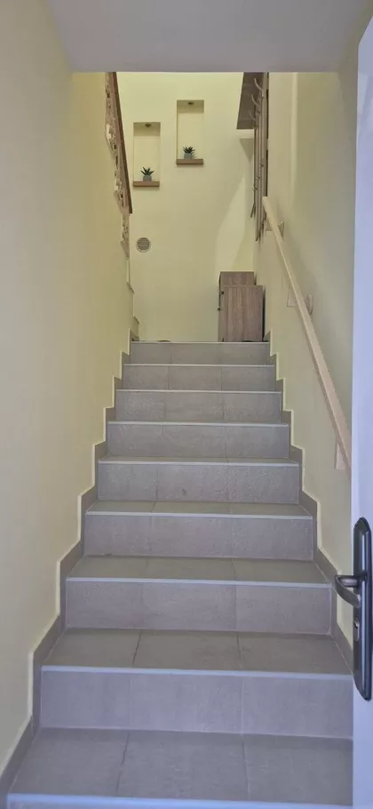 Borča | 4zida.rs