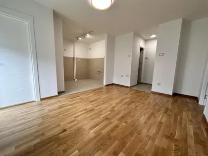 Rotkvarija | 4zida.rs