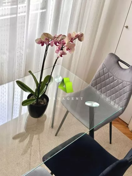 Bulevar Nemanjića | 4zida.rs