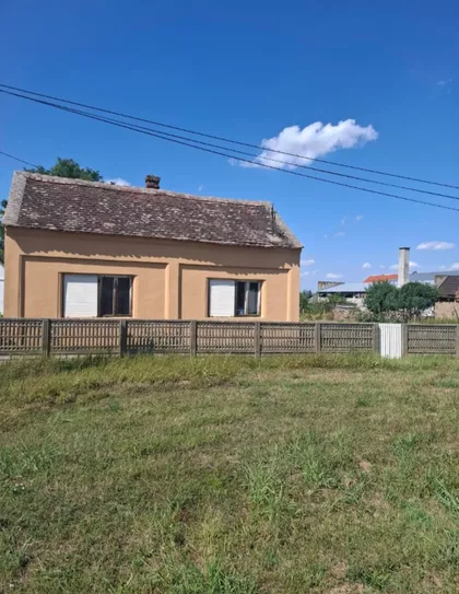 Glušci | 4zida.rs