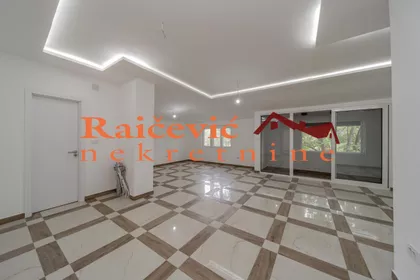 Mise Vujica | 4zida.rs